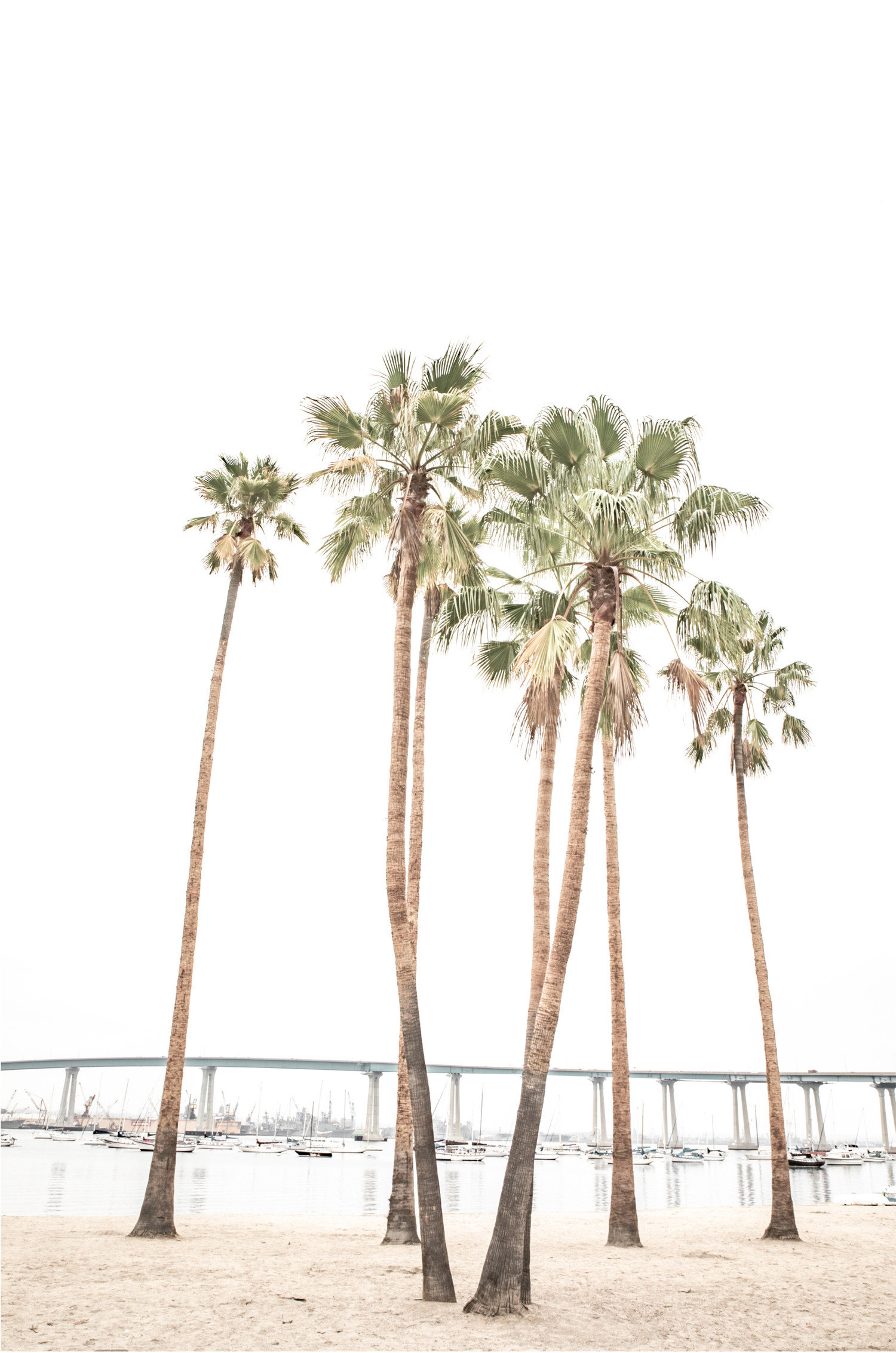 Coronado Island