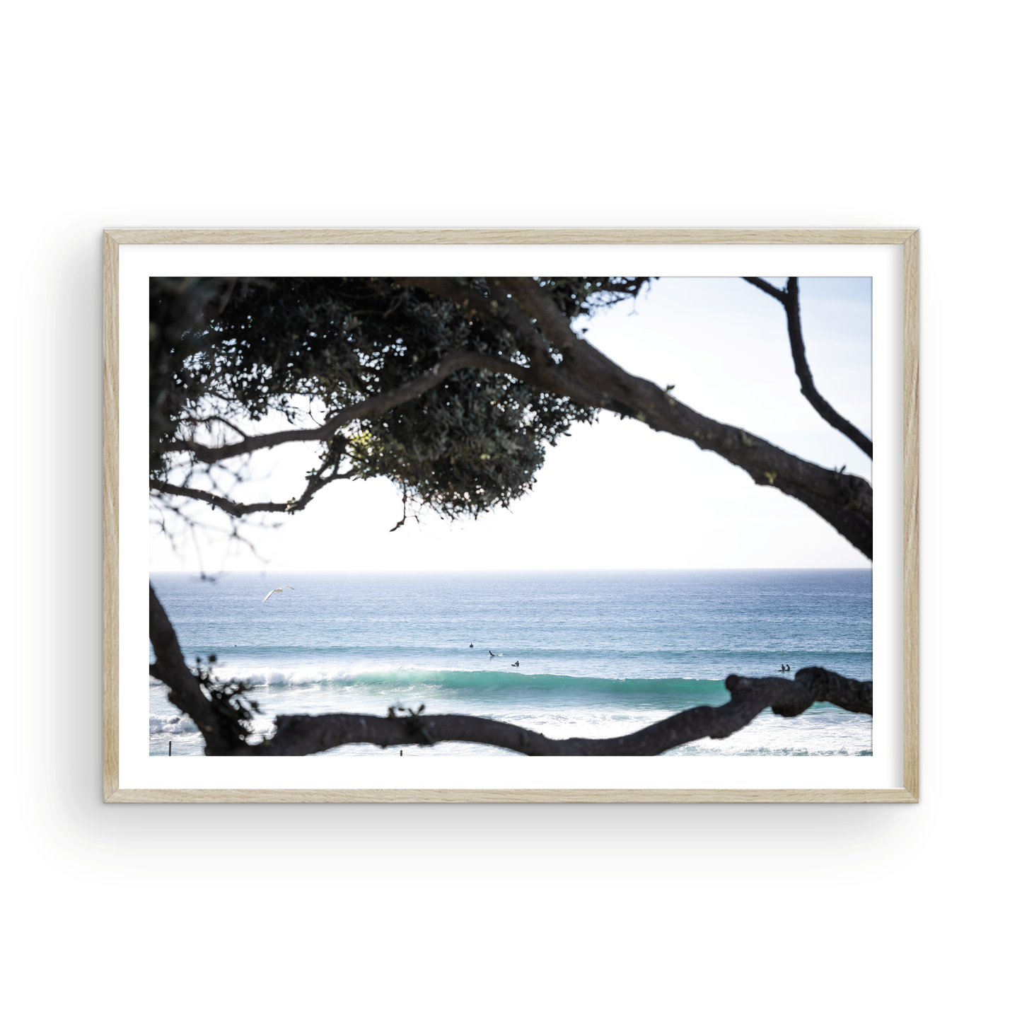 An ocean view reveals surfers on gentle waves, with a white bird soaring. Tree branches provide a natural, rustic foreground to the serene scene, taken at a beach in Del Mar, San Diego. Photograph in minimalist mock up.