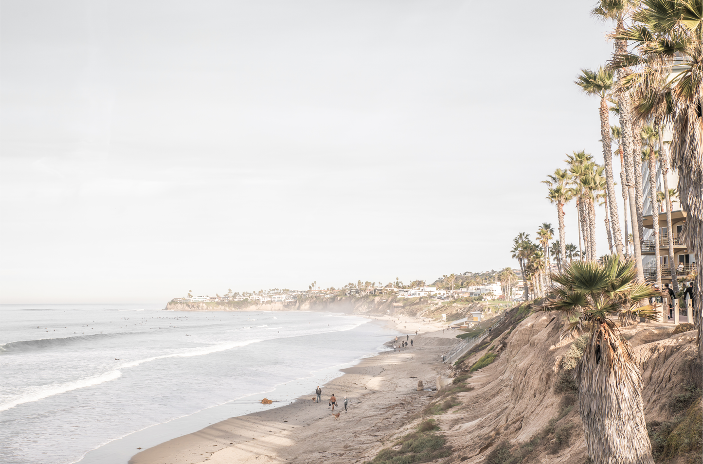 Horizontal, California coast print featuring a high vantage point overlooking Pacific Beach, with tall palm trees, a sandy beach, and the ocean. This coastal print offers a beautiful seascape.