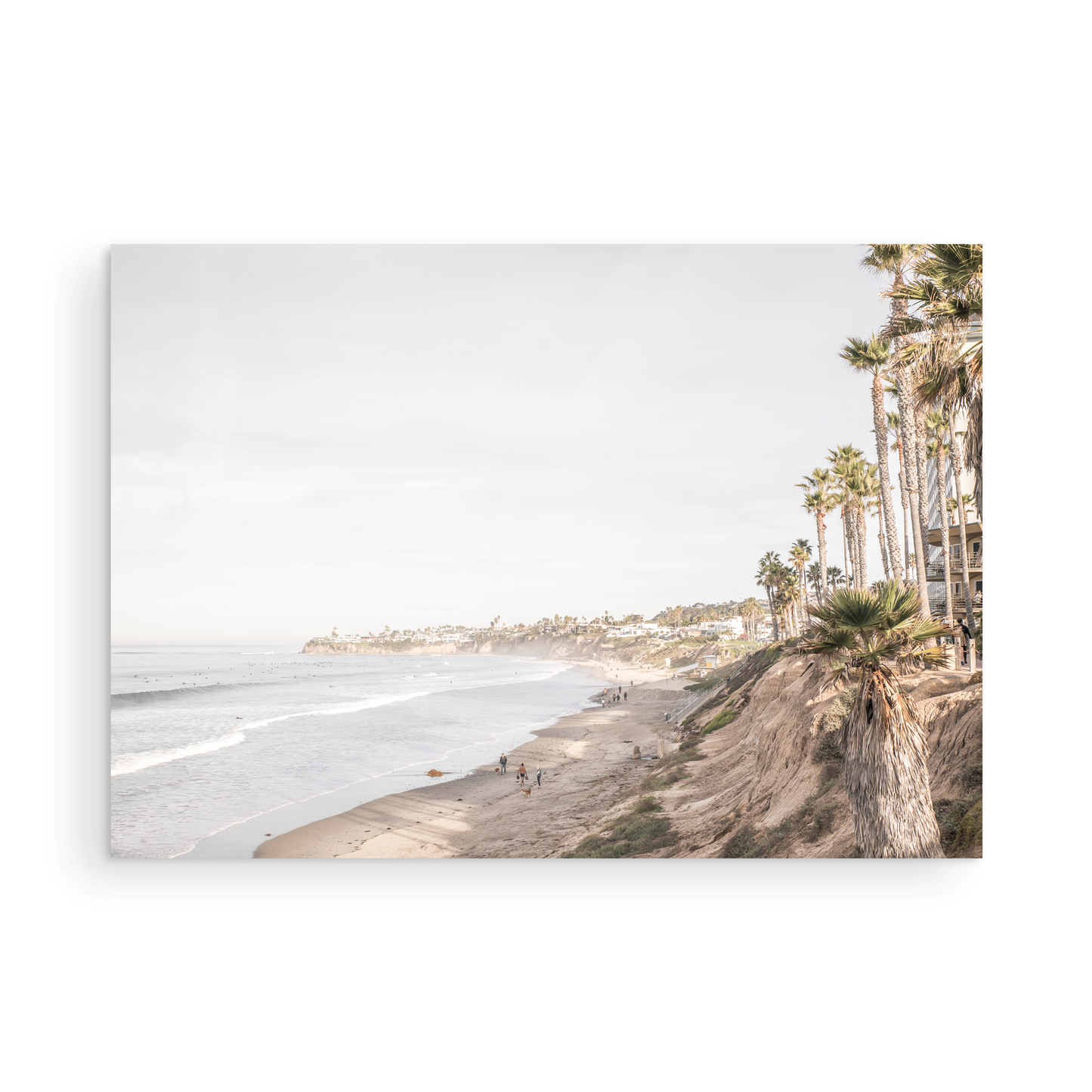 Horizontal, California coast print featuring a high vantage point overlooking Pacific Beach, with tall palm trees, a sandy beach, and the ocean. This coastal print offers a beautiful seascape. Photograph in minimalist mock up.