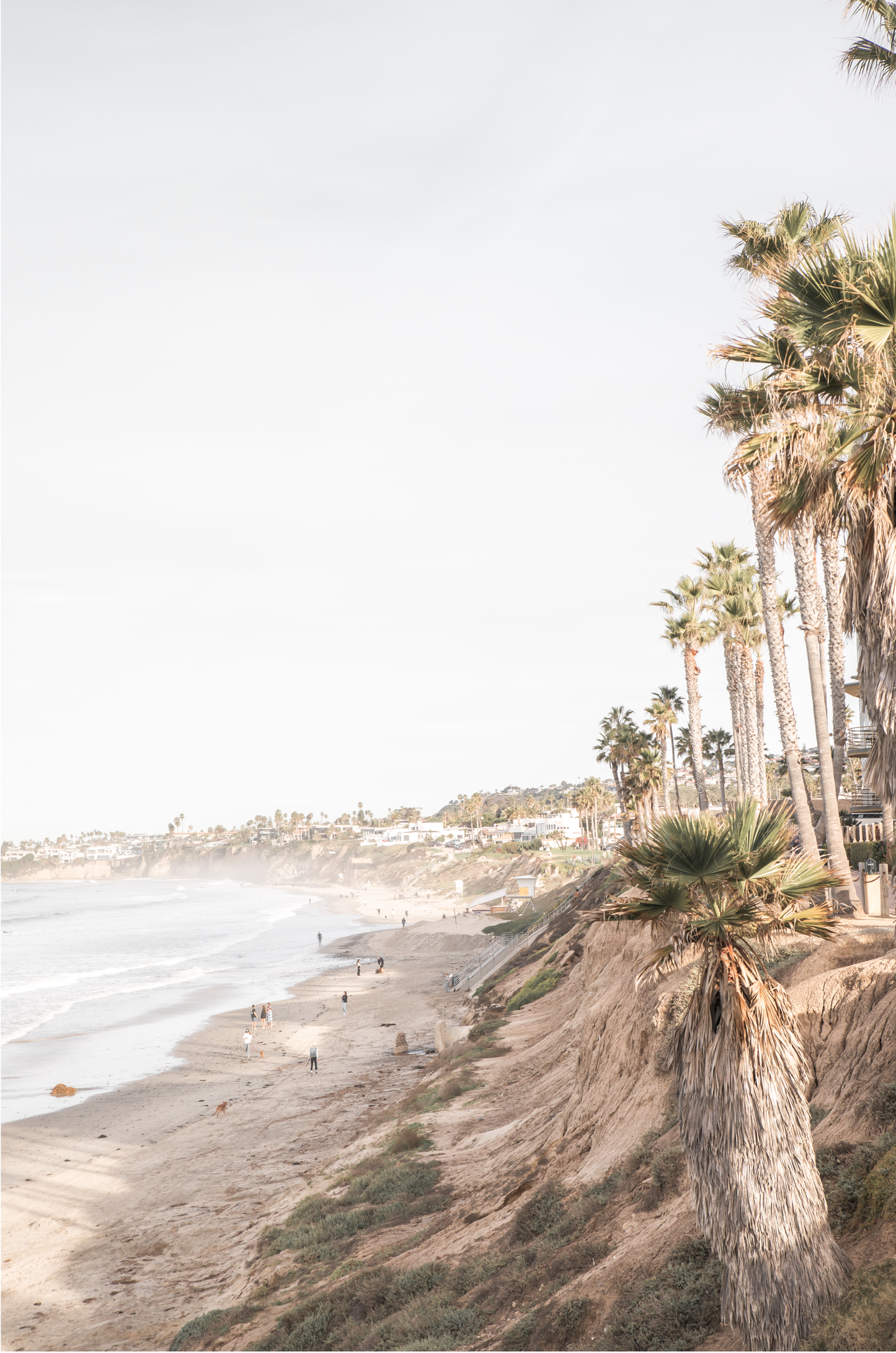 Vertical California coast print featuring a high vantage point overlooking Pacific Beach, with tall palm trees, a sandy beach, and the ocean. This coastal print offers a beautiful seascape.