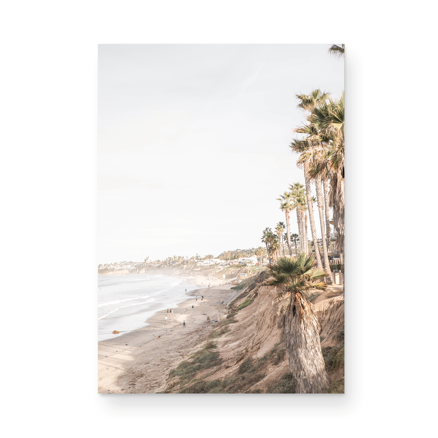 Vertical California coast print featuring a high vantage point overlooking Pacific Beach, with tall palm trees, a sandy beach, and the ocean. This coastal print offers a beautiful seascape. Photograph in minimalist mock up.