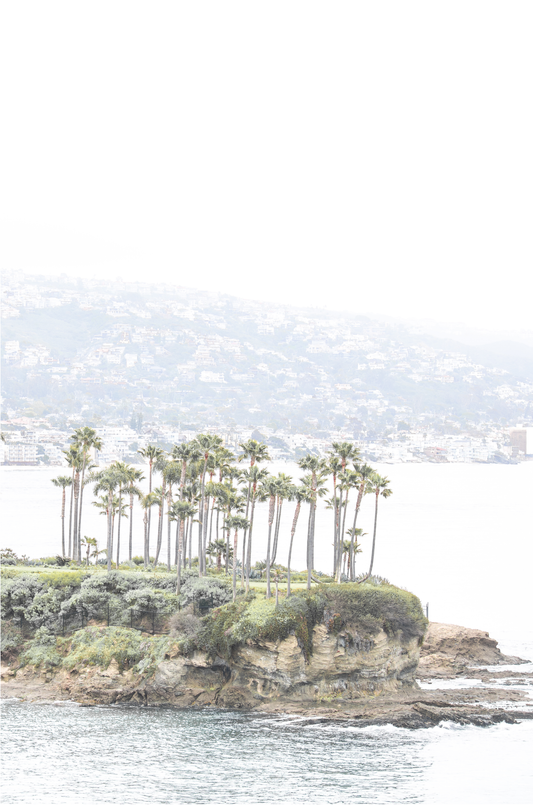 Vertical coastal photography of Laguna Beach, San Diego, featuring a fine art giclee print featuring palm trees on a small island in a body of water.