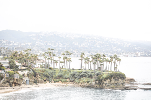 Horizontal coastal photography of Laguna Beach, San Diego, featuring a fine art giclee print featuring palm trees on a small island in a body of water.