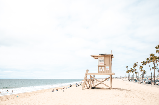 A wide landscape coastal photography view of Newport Beach in Southern California, featuring a row of tall palm trees, a lifeguard tower, and people enjoying the calm beach.