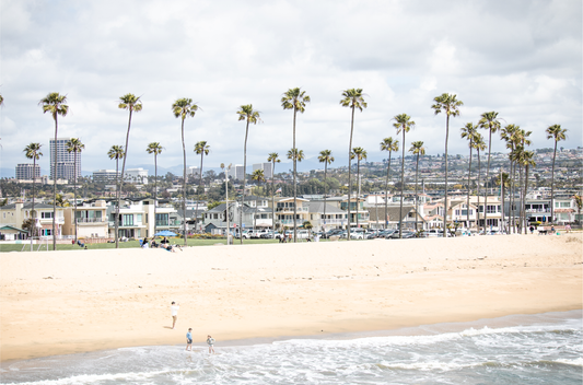 Landscape beach photography of Newport Beach, California, showing a wide sandy beach, a long line of tall palm trees, and coastal homes