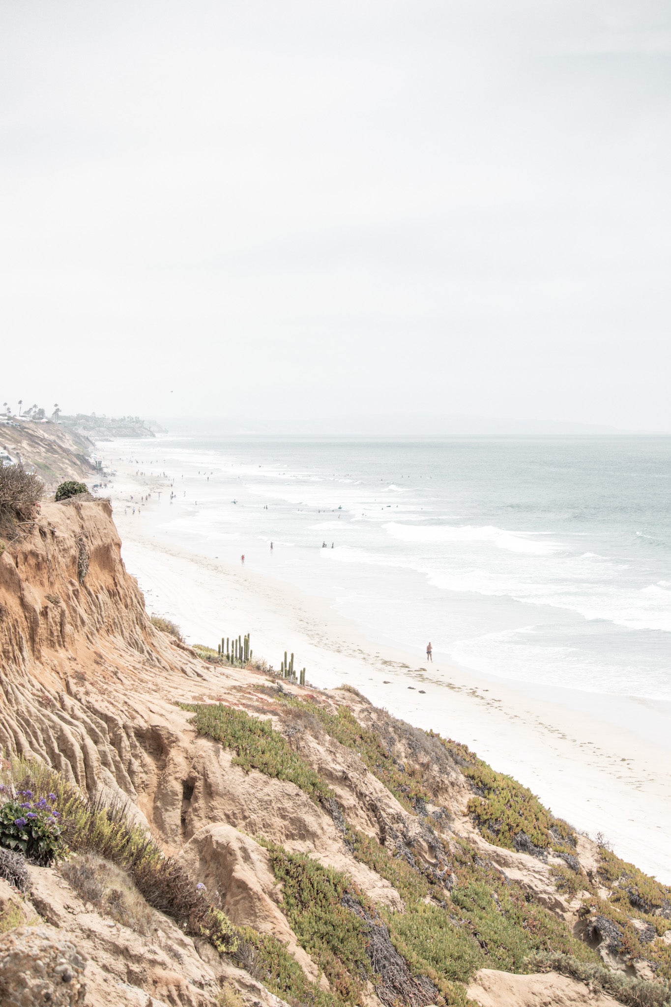 Carlsbad 2315