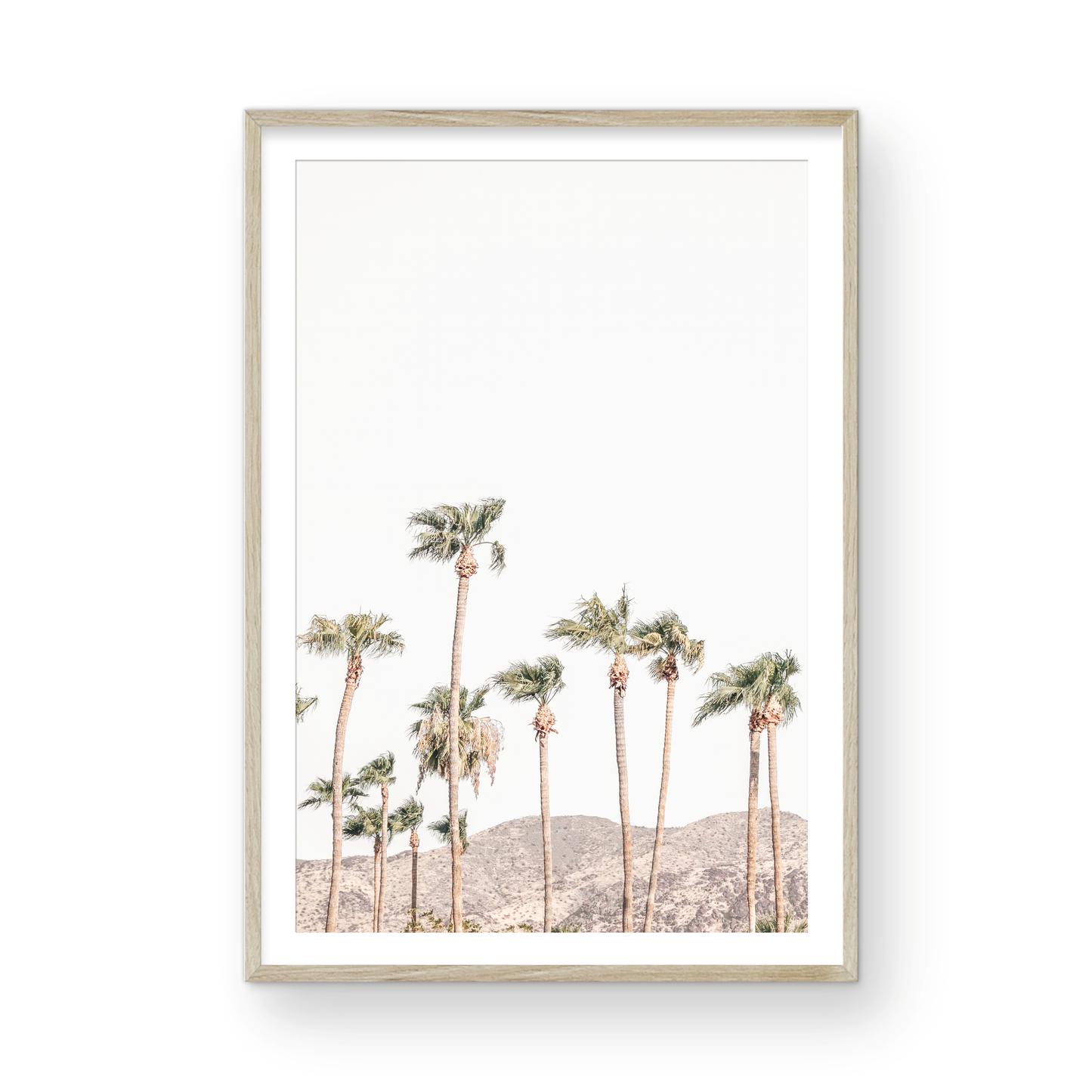 Landscape coastal photography showing a vertical expanse of palm trees in Palm Springs with hazy mountains in the background. A minimalist palm tree print. Photograph in minimalist mock up.