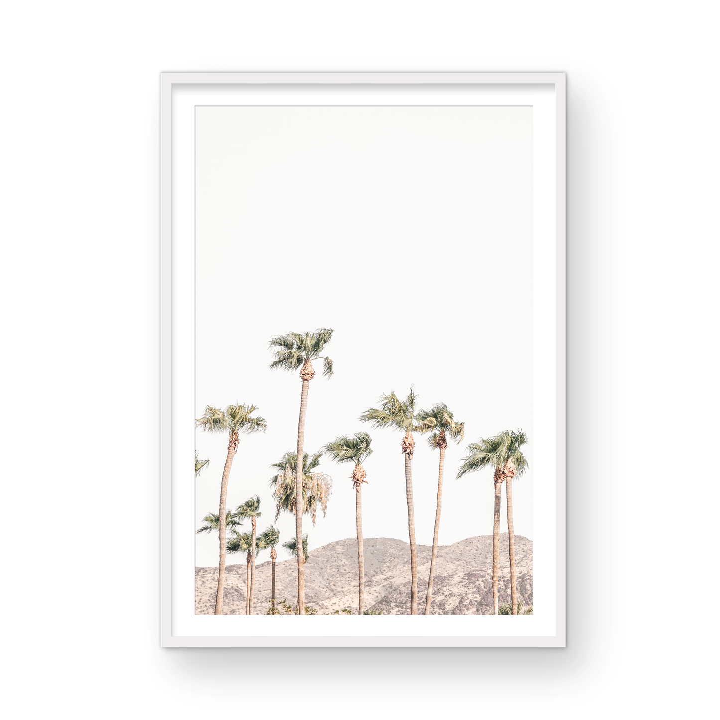 Landscape coastal photography showing a vertical expanse of palm trees in Palm Springs with hazy mountains in the background. A minimalist palm tree print. Photograph in minimalist mock up.