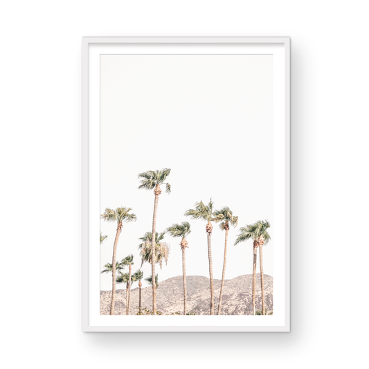 Landscape coastal photography showing a vertical expanse of palm trees in Palm Springs with hazy mountains in the background. A minimalist palm tree print. Photograph in minimalist mock up.