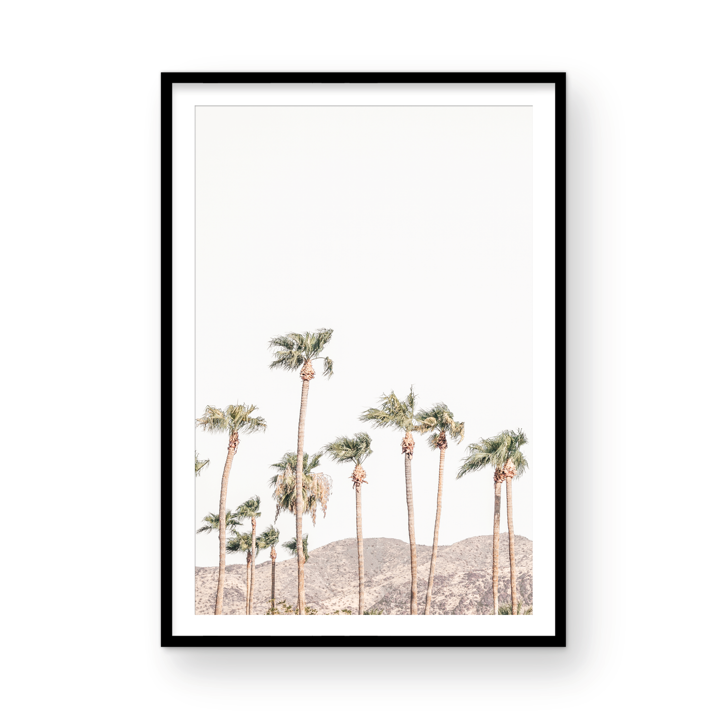 Landscape coastal photography showing a vertical expanse of palm trees in Palm Springs with hazy mountains in the background. A minimalist palm tree print. Photograph in minimalist mock up.