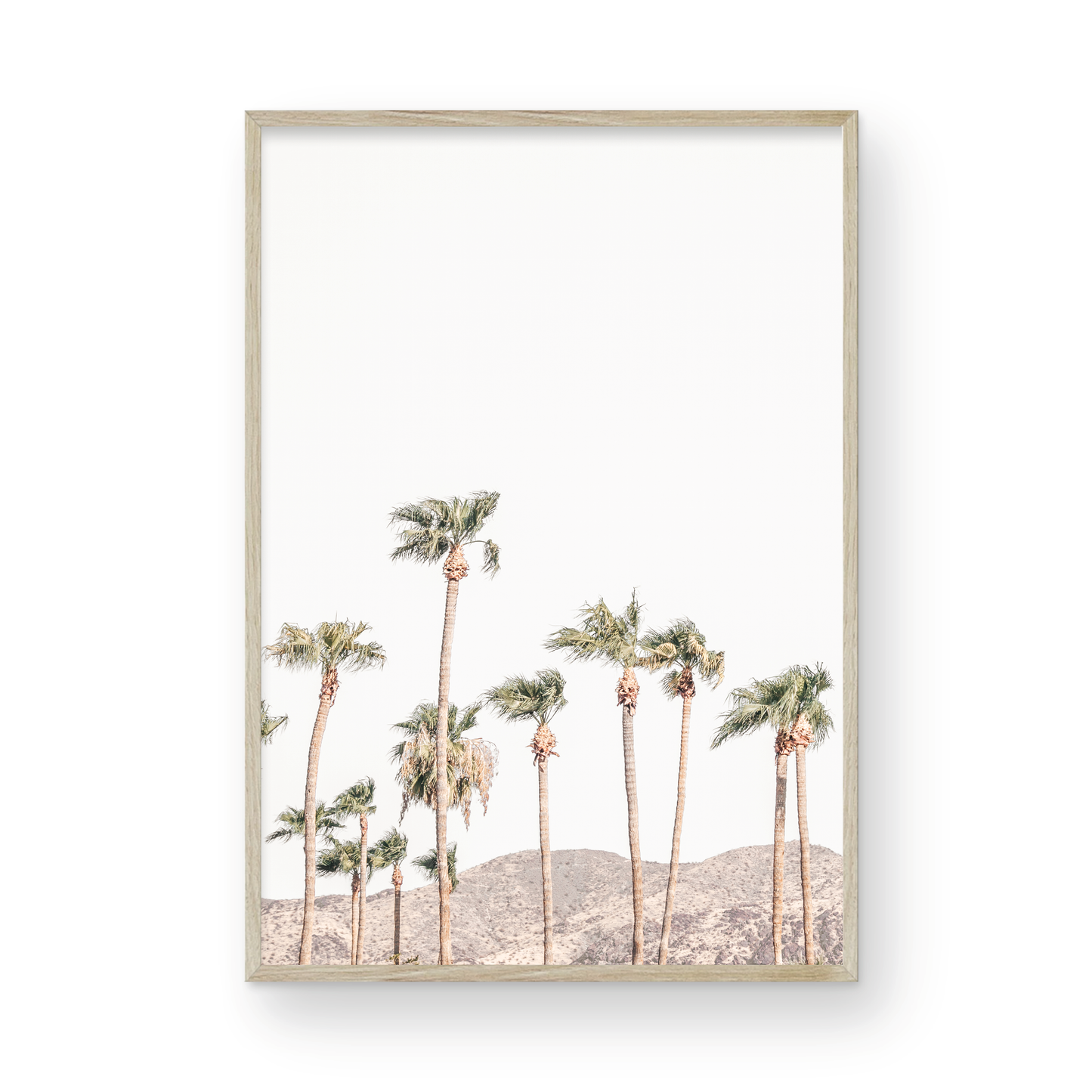Landscape coastal photography showing a vertical expanse of palm trees in Palm Springs with hazy mountains in the background. A minimalist palm tree print. Photograph in minimalist mock up.