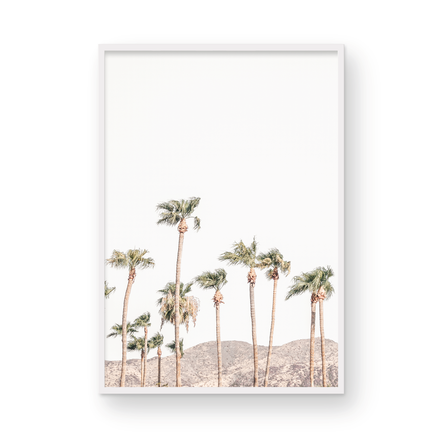 Landscape coastal photography showing a vertical expanse of palm trees in Palm Springs with hazy mountains in the background. A minimalist palm tree print. Photograph in minimalist mock up.