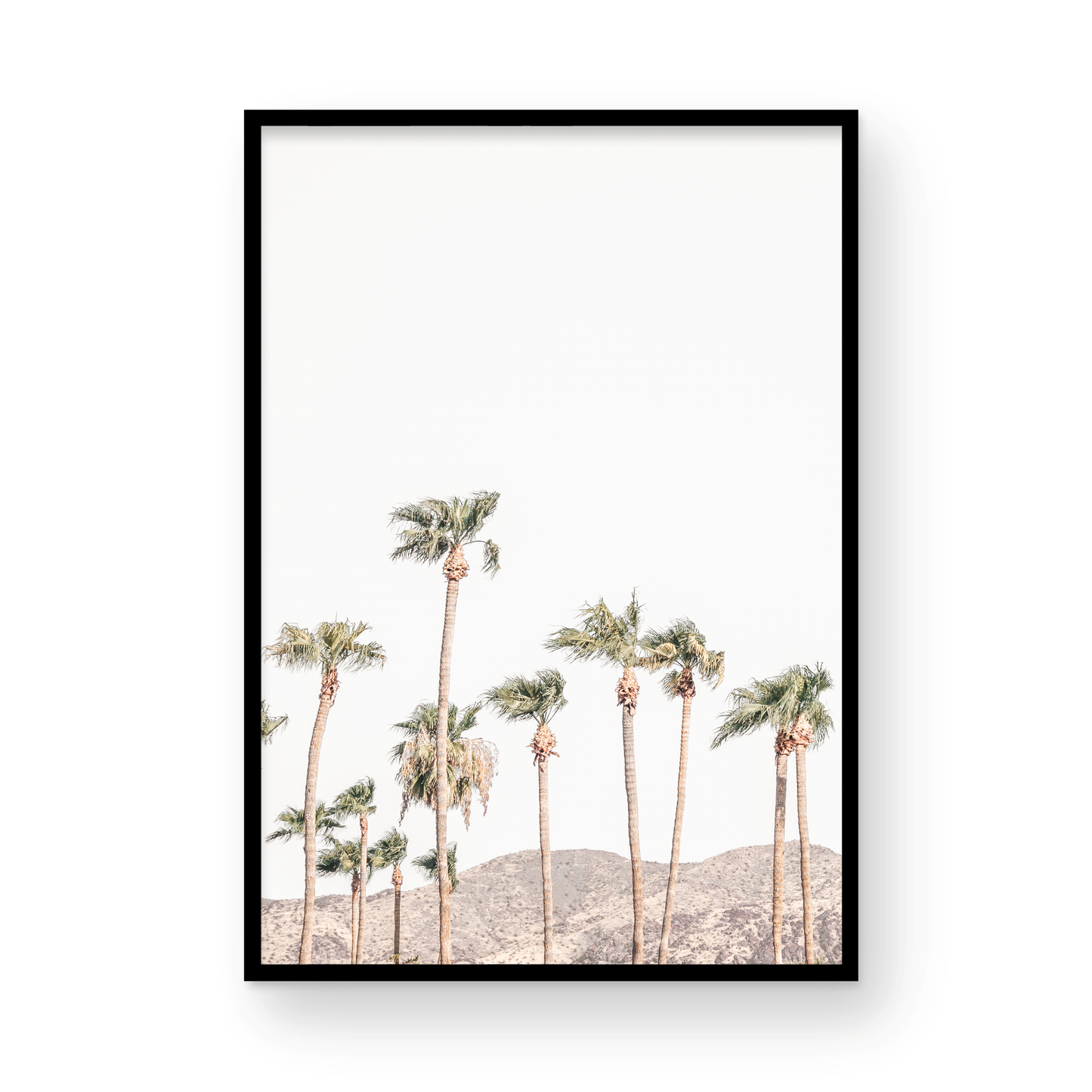 Landscape coastal photography showing a vertical expanse of palm trees in Palm Springs with hazy mountains in the background. A minimalist palm tree print. Photograph in minimalist mock up.