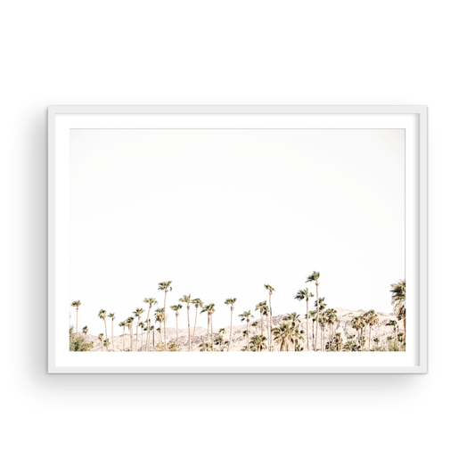 Landscape coastal photography showing a wide expanse of palm trees in Palm Springs with hazy mountains in the background. A minimalist palm tree print. Photograph in minimalist mock up.