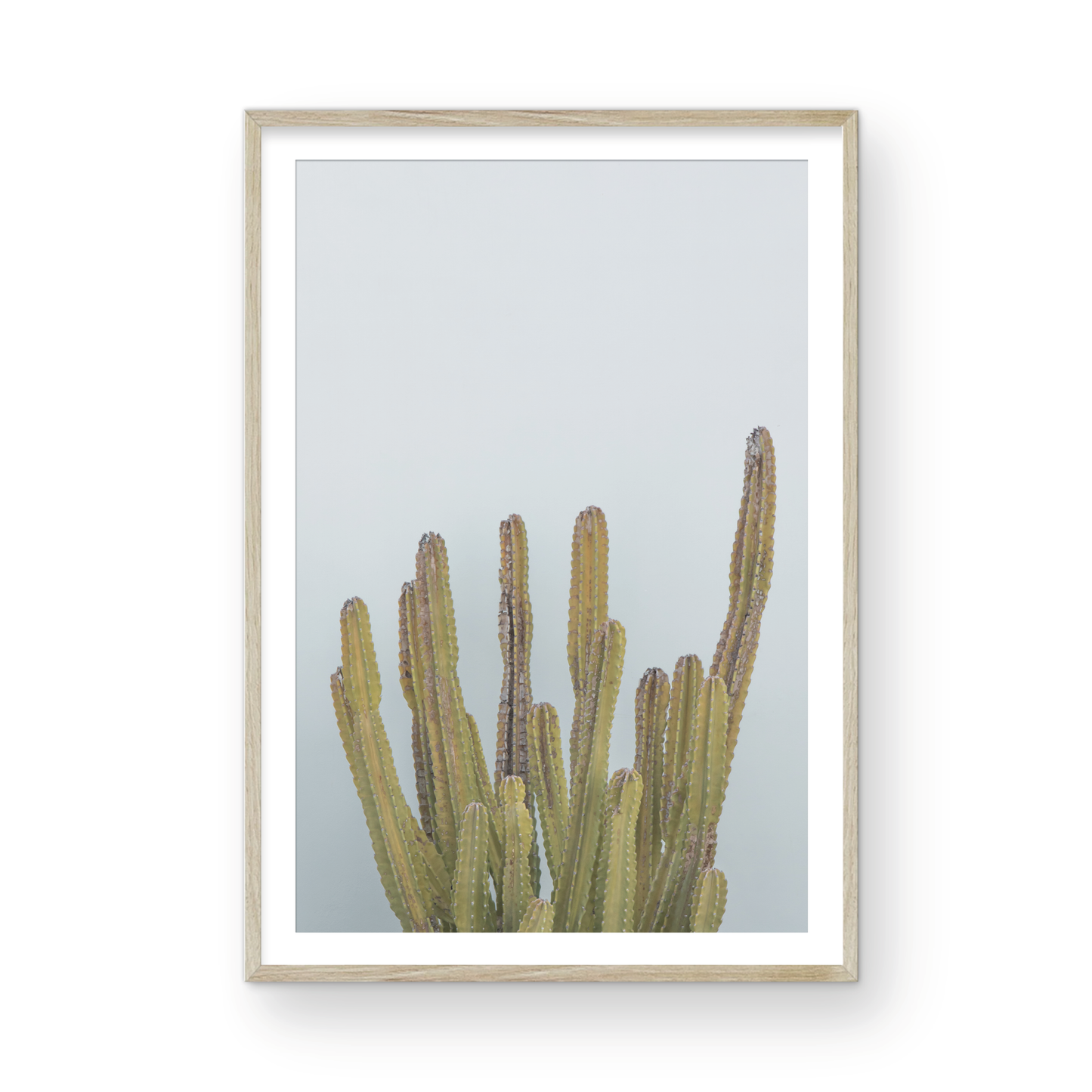 Vertical minimalist art print of a striking green cactus against a plain pale blue sky background, offering a unique element for tropical decor or minimalist art. Photograph in minimalist mock up.