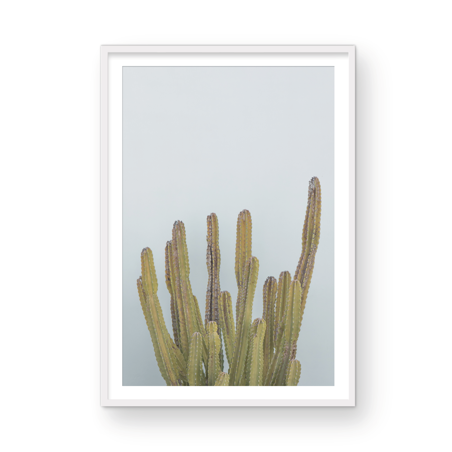 Vertical minimalist art print of a striking green cactus against a plain pale blue sky background, offering a unique element for tropical decor or minimalist art. Photograph in minimalist mock up.