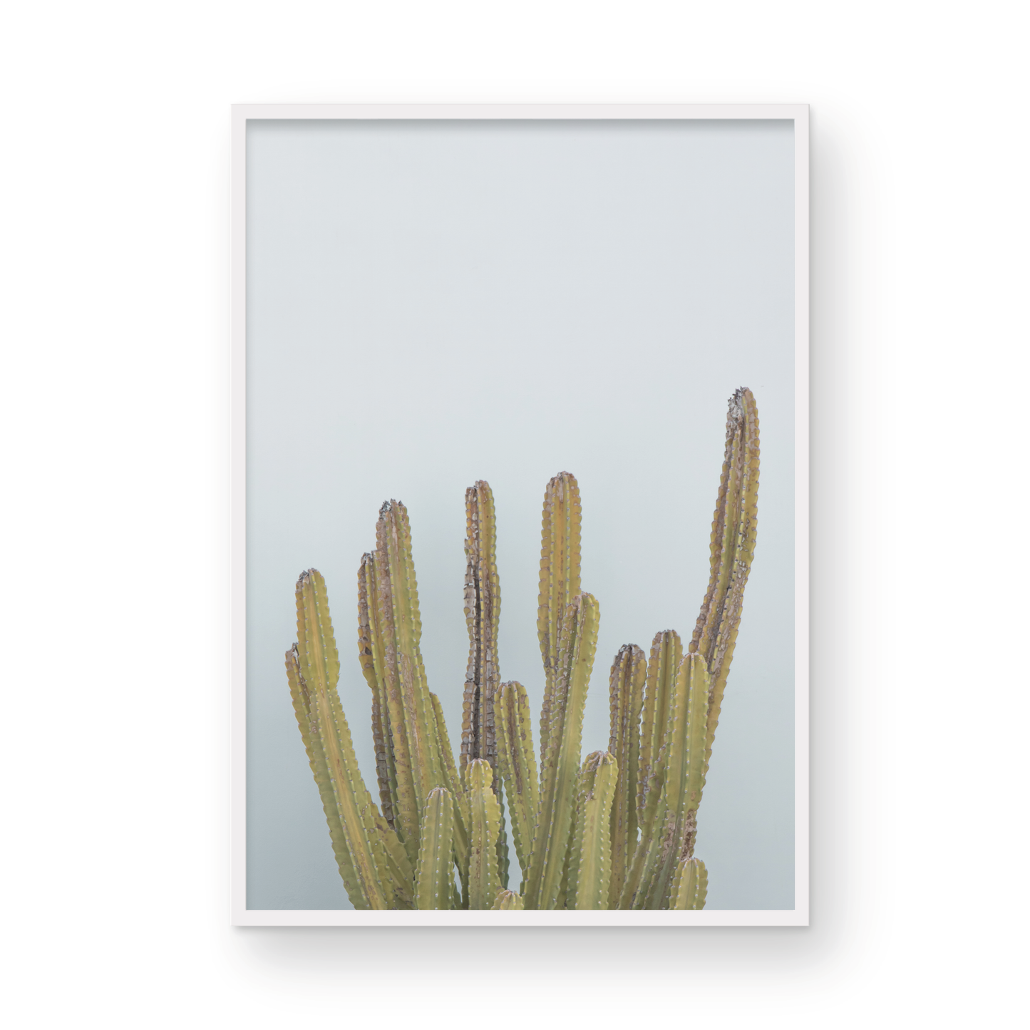 Vertical minimalist art print of a striking green cactus against a plain pale blue sky background, offering a unique element for tropical decor or minimalist art. Photograph in minimalist mock up.
