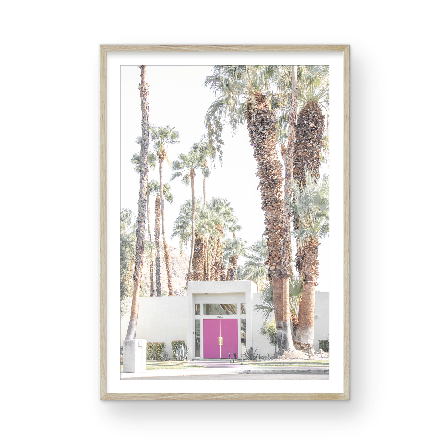 Vertical tropical print featuring a Palm Springs residence with a vibrant pink door, framed by numerous tall palm trees. This image is a fun beach photography style print. Photograph in minimalist mock up.