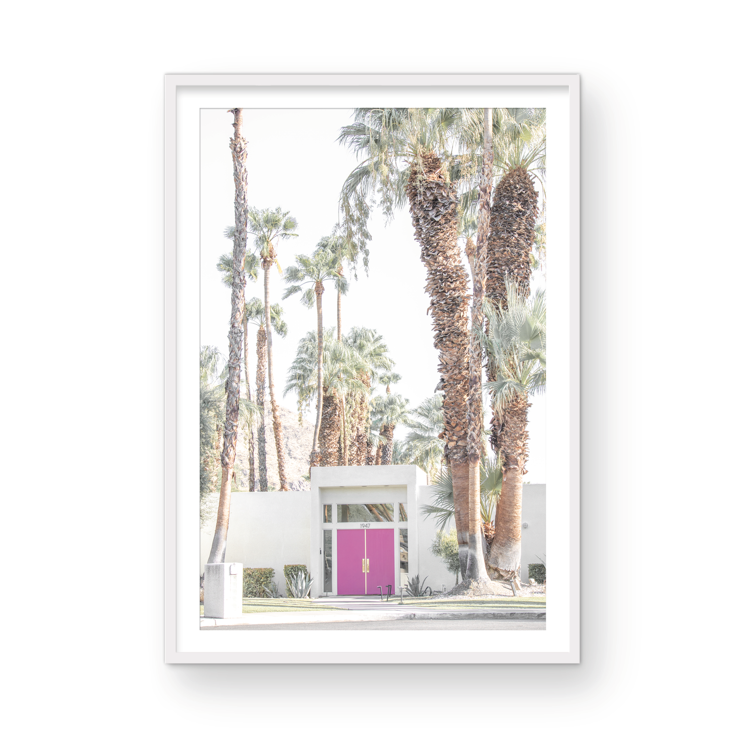 Vertical tropical print featuring a Palm Springs residence with a vibrant pink door, framed by numerous tall palm trees. This image is a fun beach photography style print. Photograph in minimalist mock up.