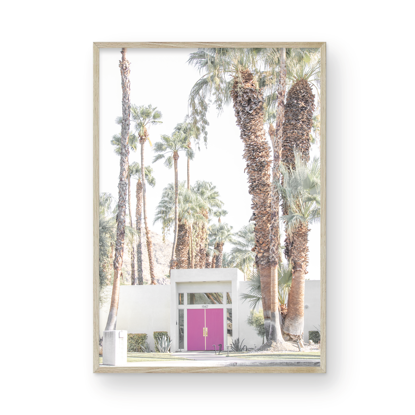 Vertical tropical print featuring a Palm Springs residence with a vibrant pink door, framed by numerous tall palm trees. This image is a fun beach photography style print. Photograph in minimalist mock up.
