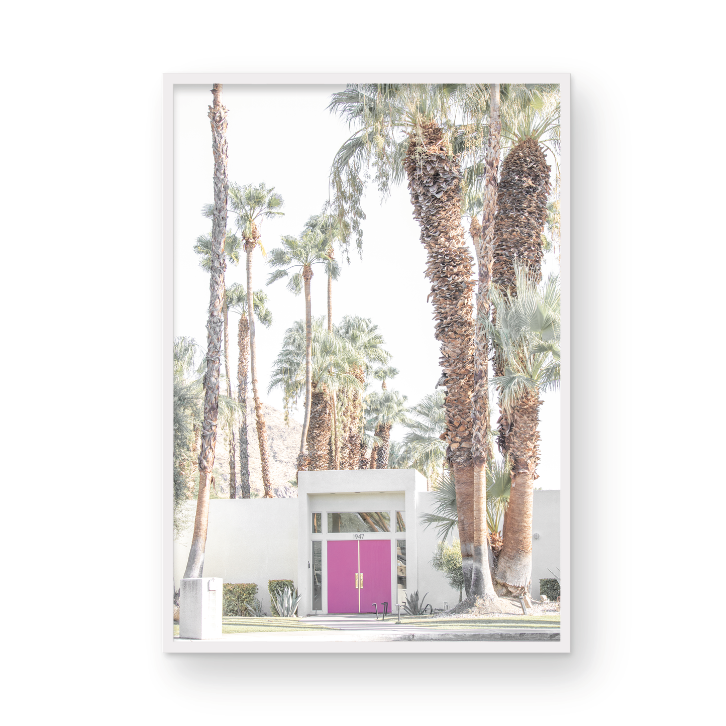 Vertical tropical print featuring a Palm Springs residence with a vibrant pink door, framed by numerous tall palm trees. This image is a fun beach photography style print. Photograph in minimalist mock up.