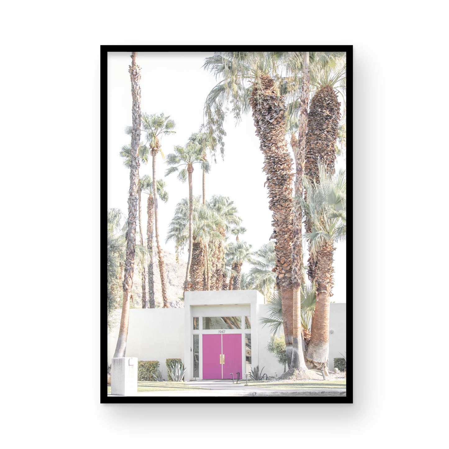 Vertical tropical print featuring a Palm Springs residence with a vibrant pink door, framed by numerous tall palm trees. This image is a fun beach photography style print. Photograph in minimalist mock up.