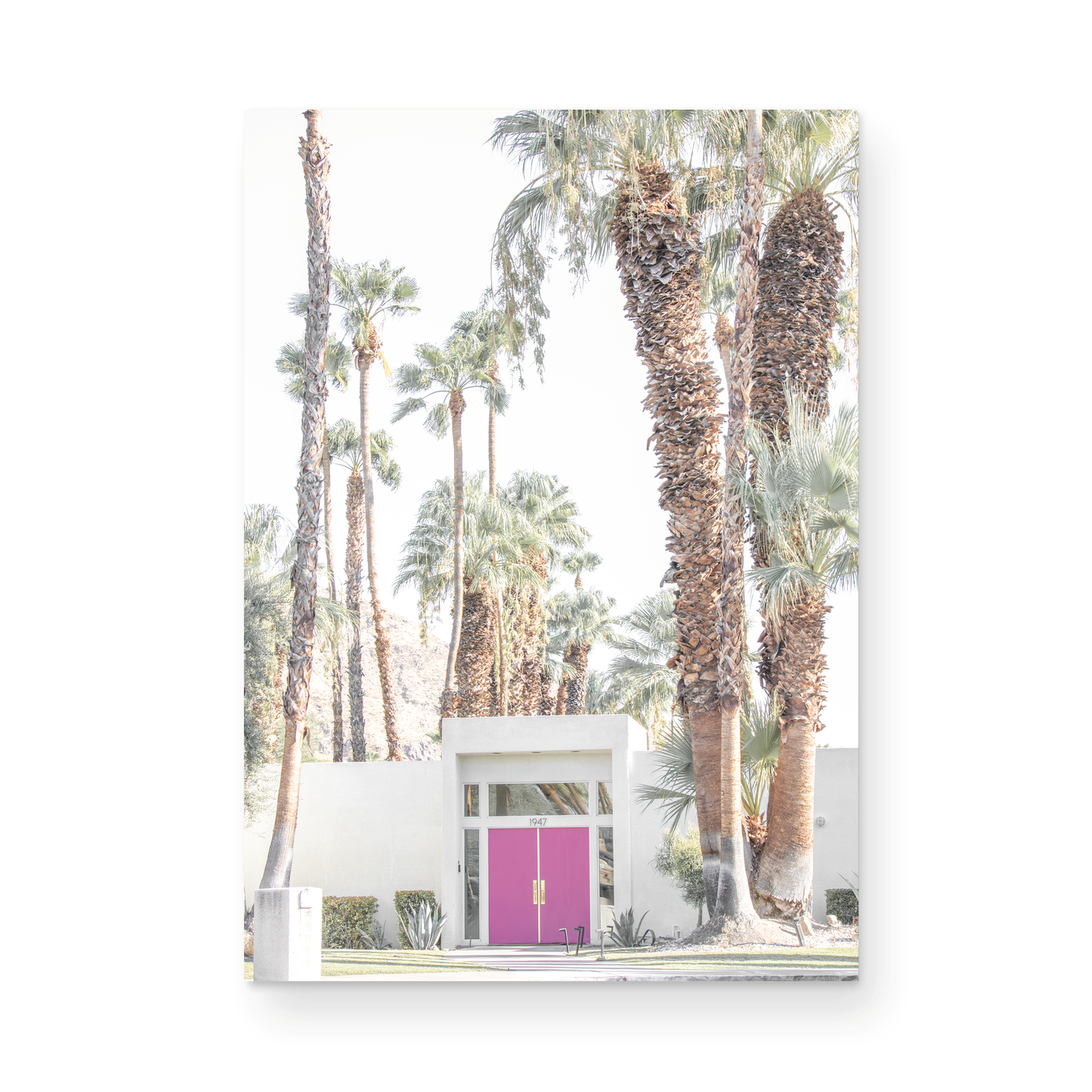 Vertical tropical print featuring a Palm Springs residence with a vibrant pink door, framed by numerous tall palm trees. This image is a fun beach photography style print. Photograph in minimalist mock up.