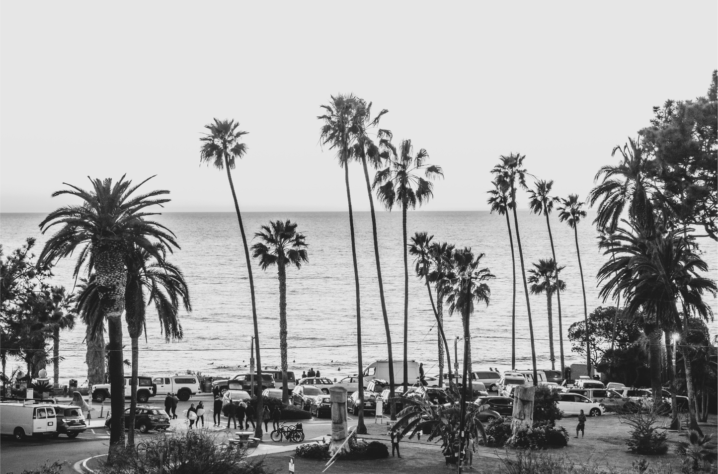 A classic black and white horizontal print of Swamis, the iconic San Diego surf spot, showcasing a panoramic view from above. This piece of Southern California travel photography features dozens of silhouetted palm trees against a bright sky, with a lively beach scene of cars and people below, stretching towards the ocean. Perfect as timeless beach art or neutral coastal decor for a surf vibe.