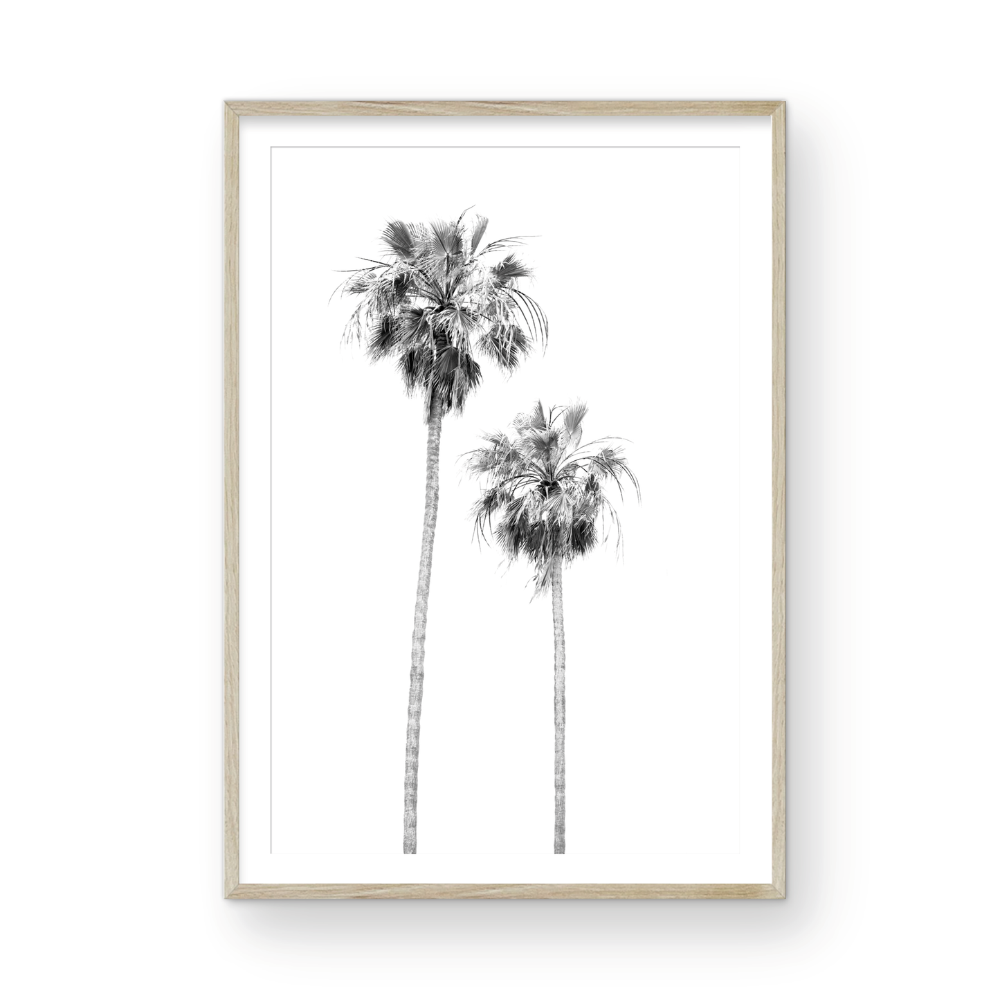 Minimalist palm tree print in black and white, showcasing two tall palm trees against a bright background. This vertical wall art is a coastal palm tree print. Photograph in minimalist mock up.