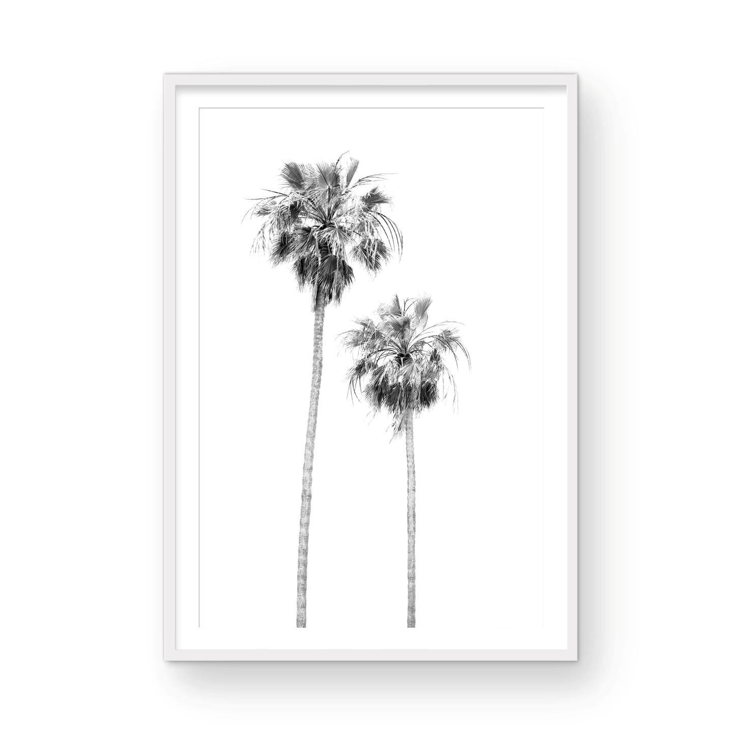 Minimalist palm tree print in black and white, showcasing two tall palm trees against a bright background. This vertical wall art is a coastal palm tree print. Photograph in minimalist mock up.