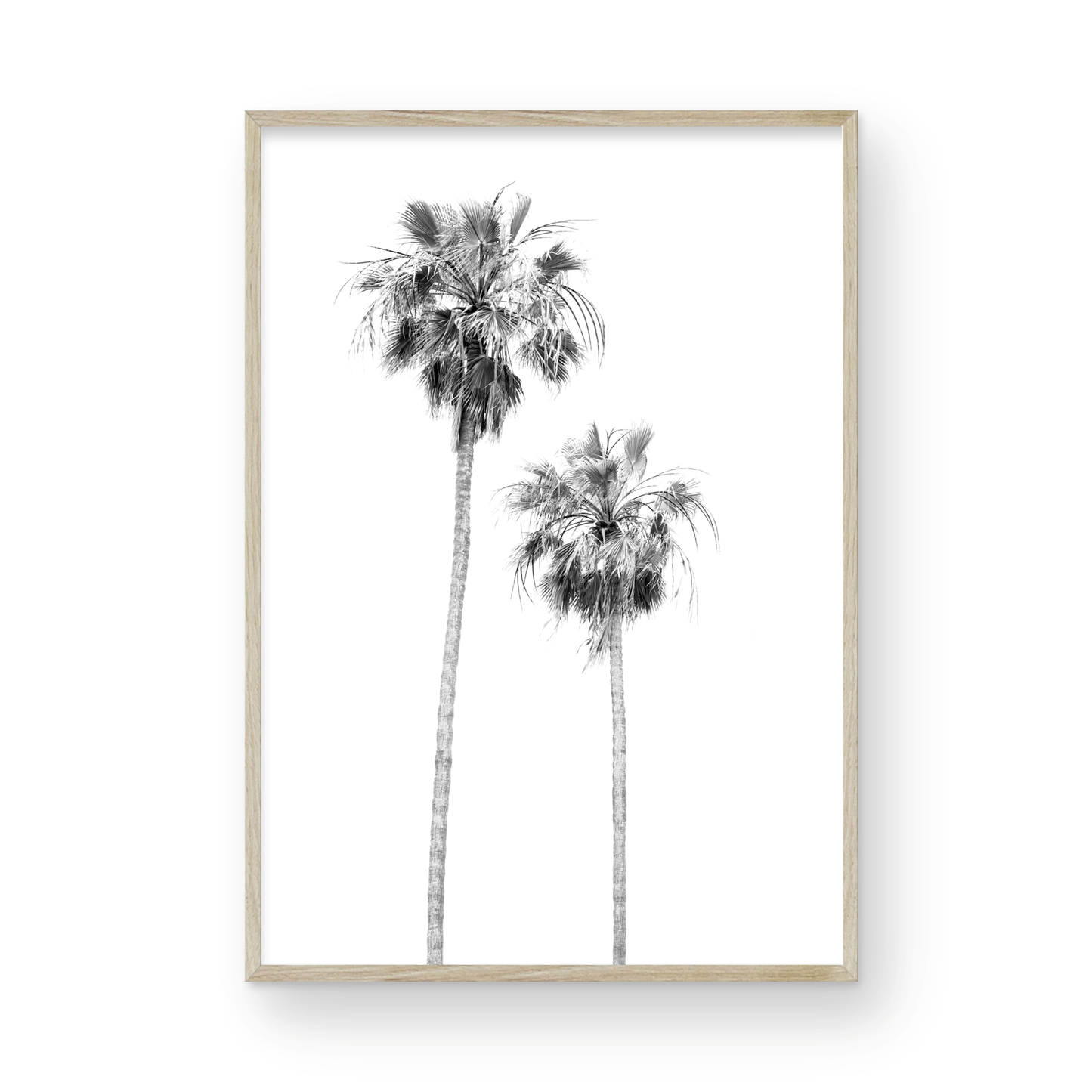 Minimalist palm tree print in black and white, showcasing two tall palm trees against a bright background. This vertical wall art is a coastal palm tree print. Photograph in minimalist mock up.