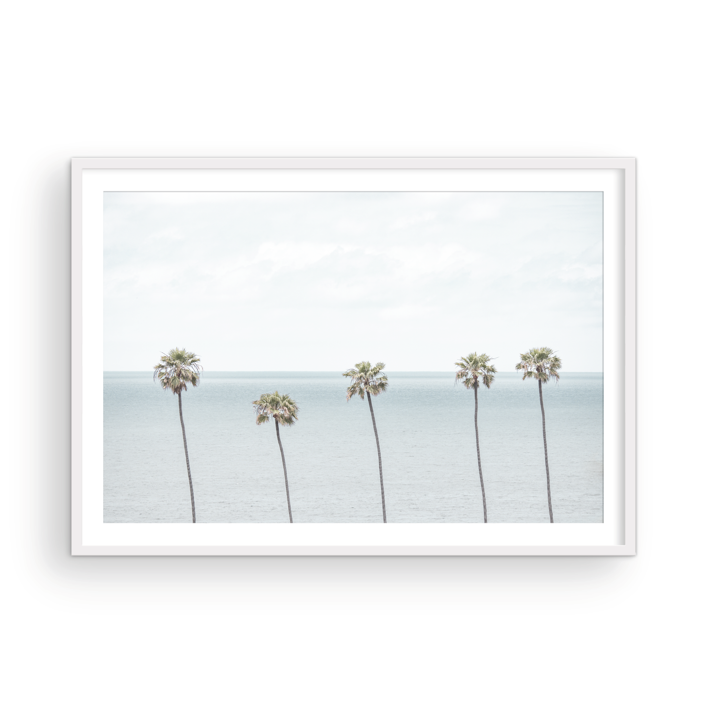 Coastal Encinitas photography featuring a row of palm trees along the coastline. Photograph in minimalist mock up.