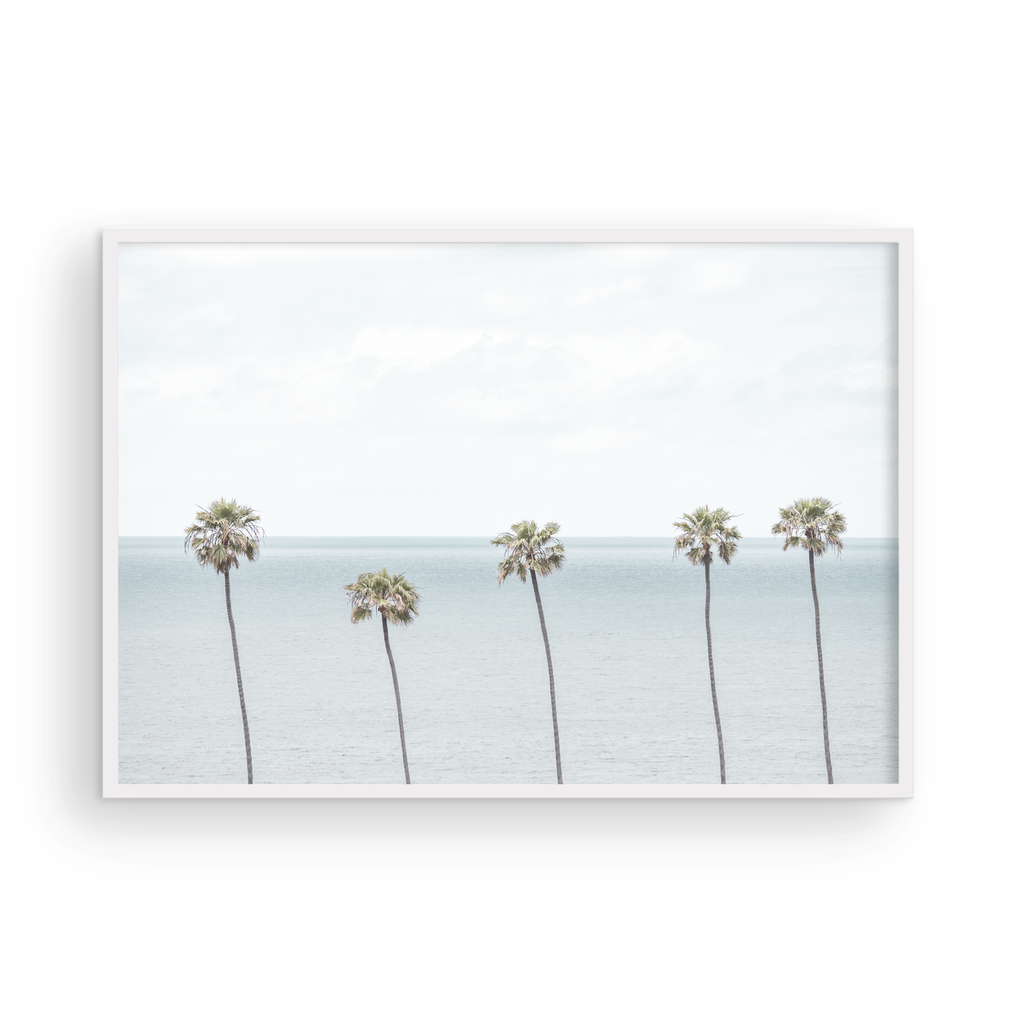 Coastal Encinitas photography featuring a row of palm trees along the coastline. Photograph in minimalist mock up.