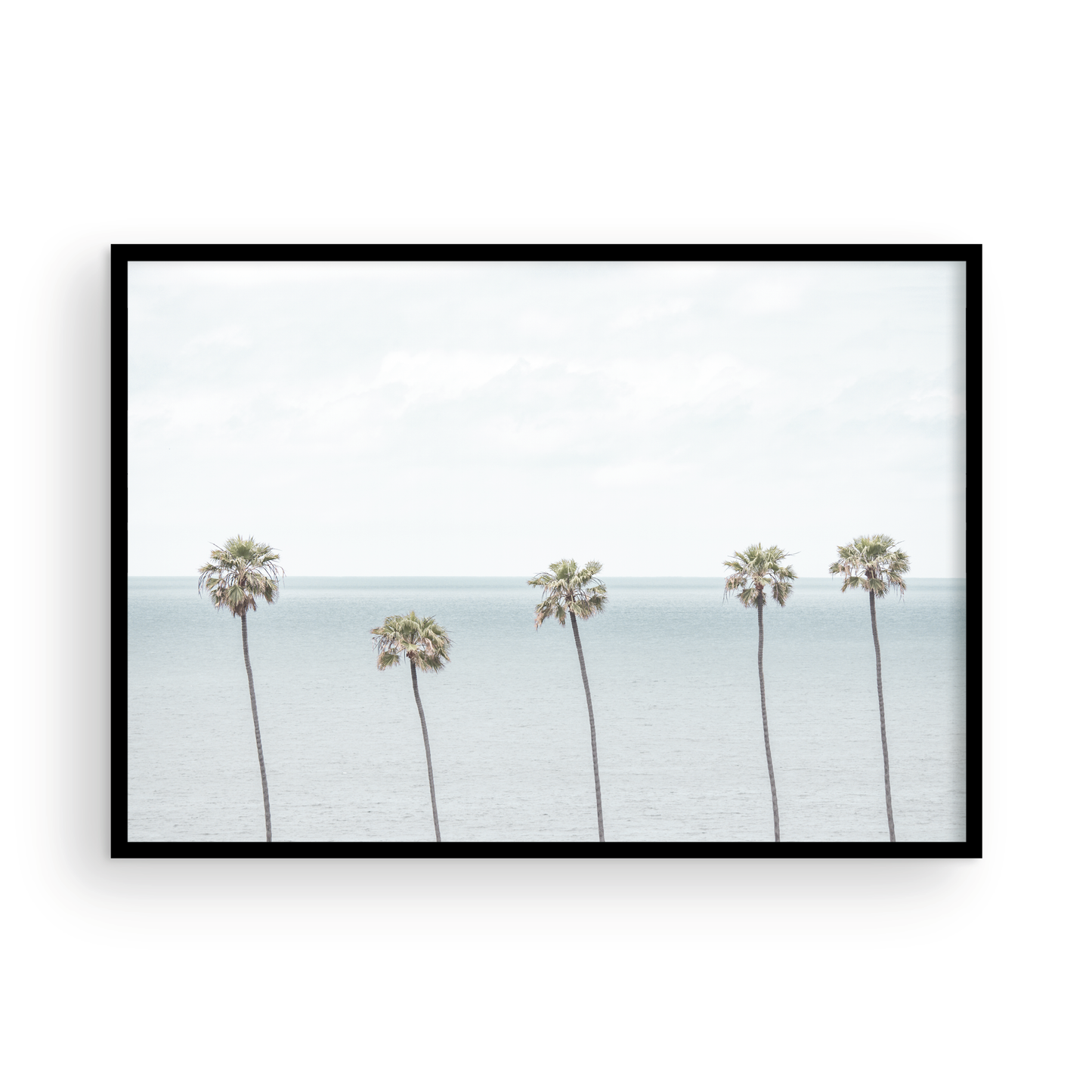 Coastal Encinitas photography featuring a row of palm trees along the coastline. Photograph in minimalist mock up.