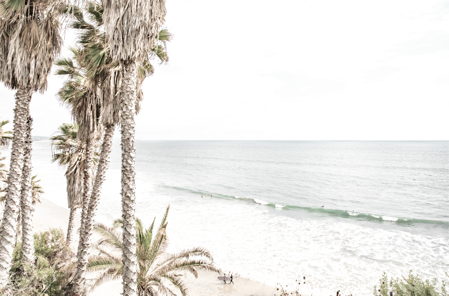 Dreamy coastal palm tree print featuring several tall palm trees with shaggy trunks, and surfers walking down the tranquil beach. This vertical tropical print is captured at Swamis Beach on the Southern California coast, is bathed in bright, hazy sunlight, creating a pastel beach art effect. Evokes serene summer vibes, perfect for beach house decor.