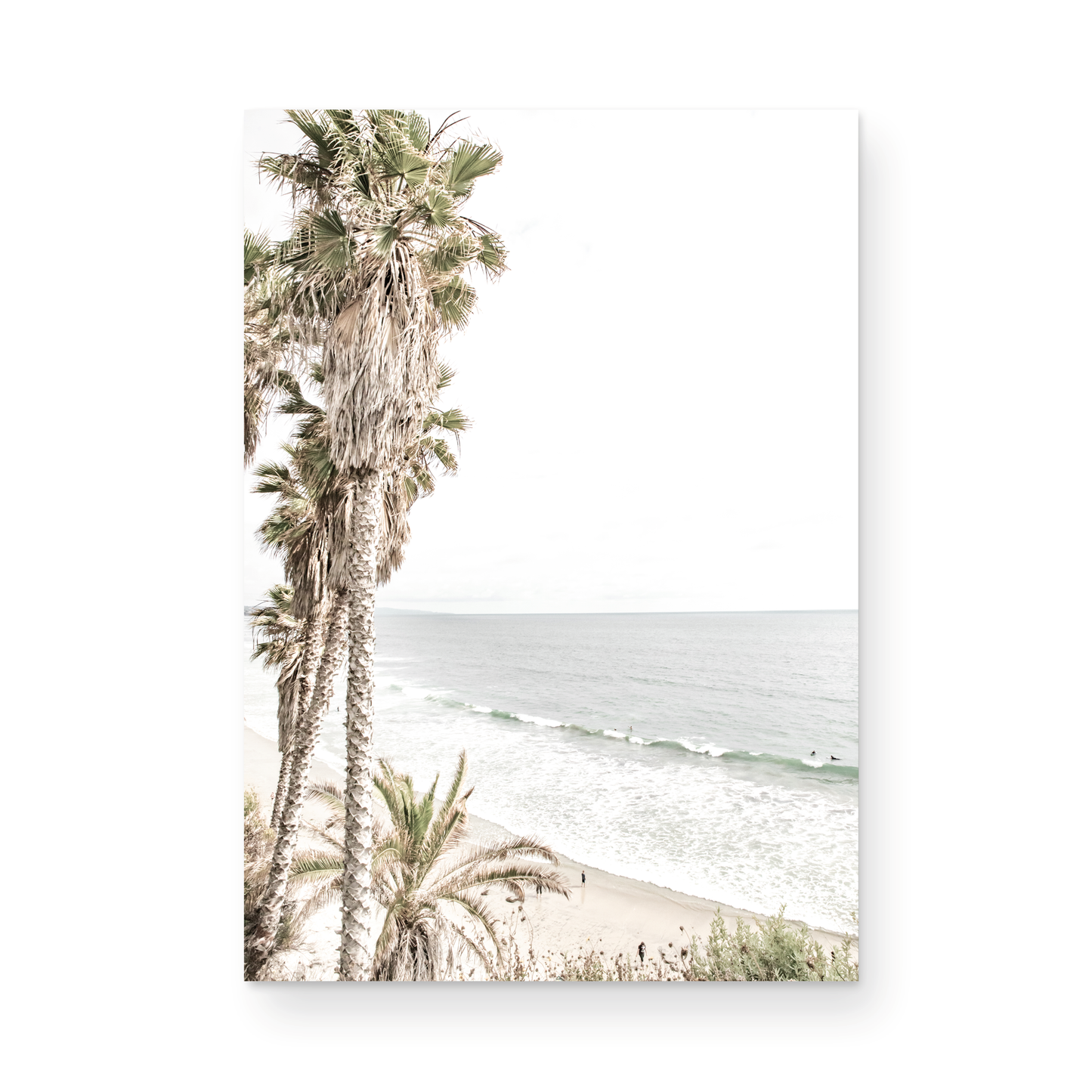 Dreamy coastal palm tree print featuring several tall palm trees with shaggy trunks, lining a gentle slope down to a tranquil beach. This vertical tropical print is captured at Swamis Beach on the Southern California coast, is bathed in bright, hazy sunlight, creating a pastel beach art effect. Evokes serene summer vibes, perfect for beach house decor. Photograph in minimalist surf art mock up.