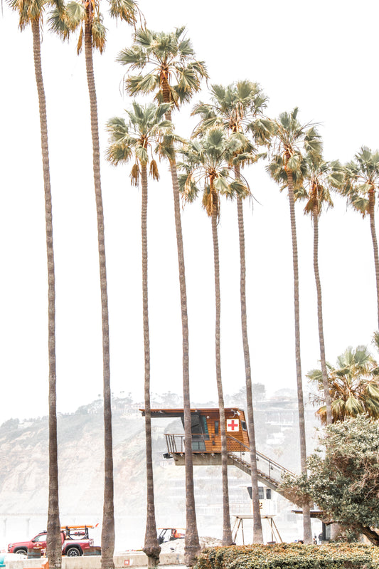 La Jolla Shores 7939