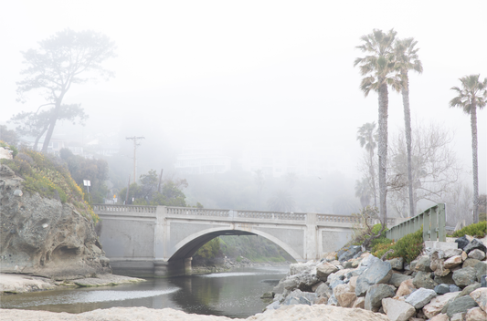 Landscape coastal photography of a concrete arch bridge disappearing into a dense fog, flanked by palm trees and rocky shores. This calm beach print evokes a mysterious seascape.