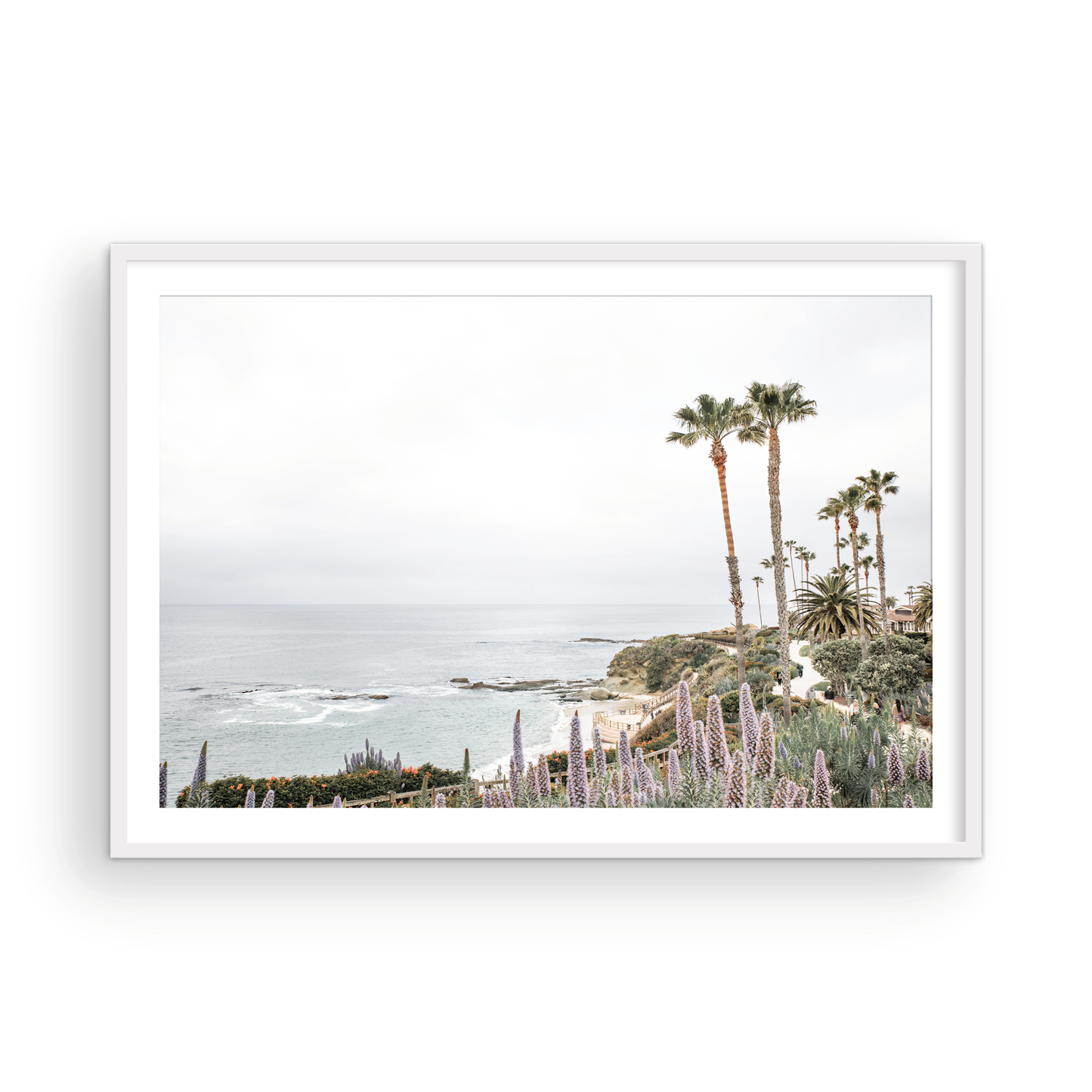 Horizontal coastal photography featuring a scenic view of the ocean with palm trees in the background, set against a white sky, located in Laguna California. Photograph in minimalist mock up.