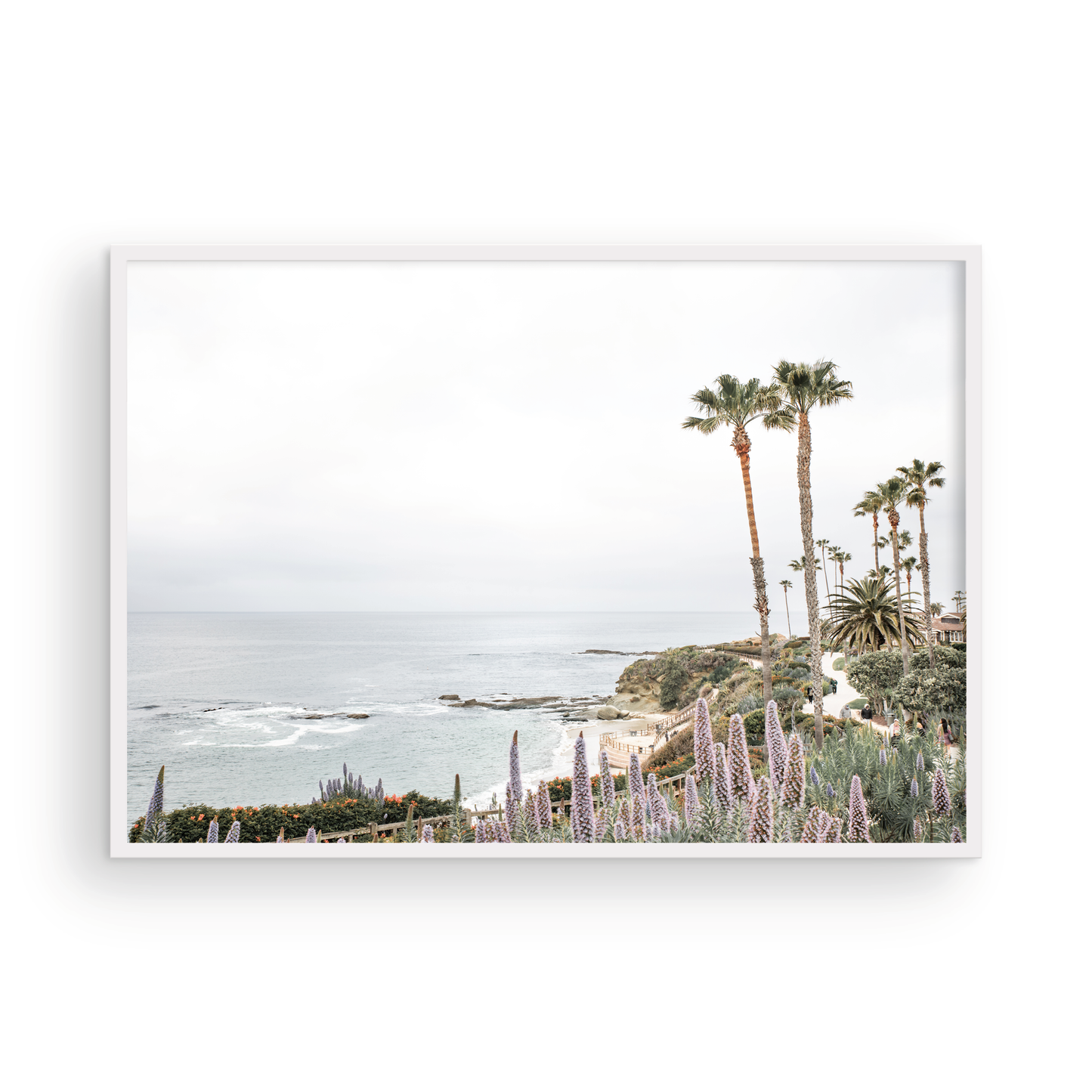 Horizontal coastal photography featuring a scenic view of the ocean with palm trees in the background, set against a white sky, located in Laguna California. Photograph in minimalist mock up.
