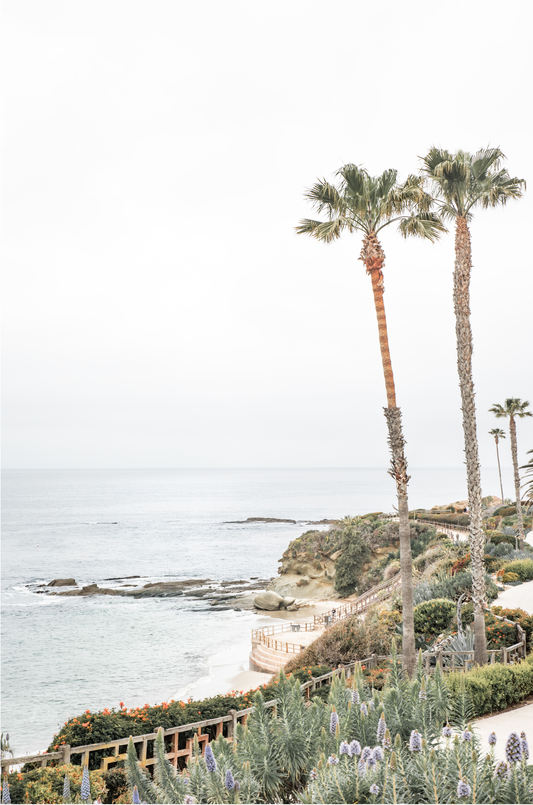 Vertical coastal photography featuring a scenic view of the ocean with palm trees in the background, set against a white sky, located in Laguna California.