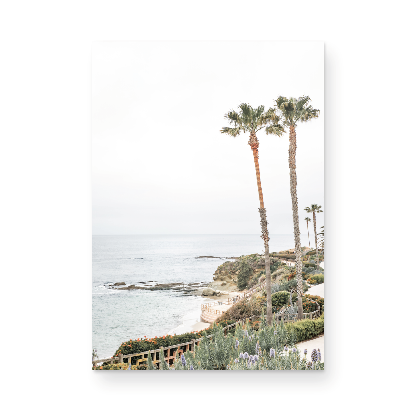 Vertical coastal photography featuring a scenic view of the ocean with palm trees in the background, set against a white sky, located in Laguna California. Photograph in minimalist mock up.