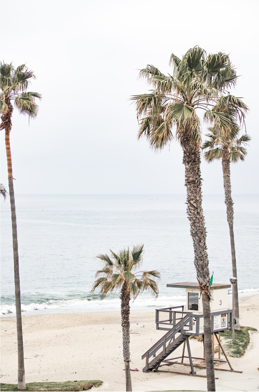 Vertical coastal photography of a coastal scene with palm trees and a lifeguard tower at Aliso Beach, Laguna California, with a wooden frame.
