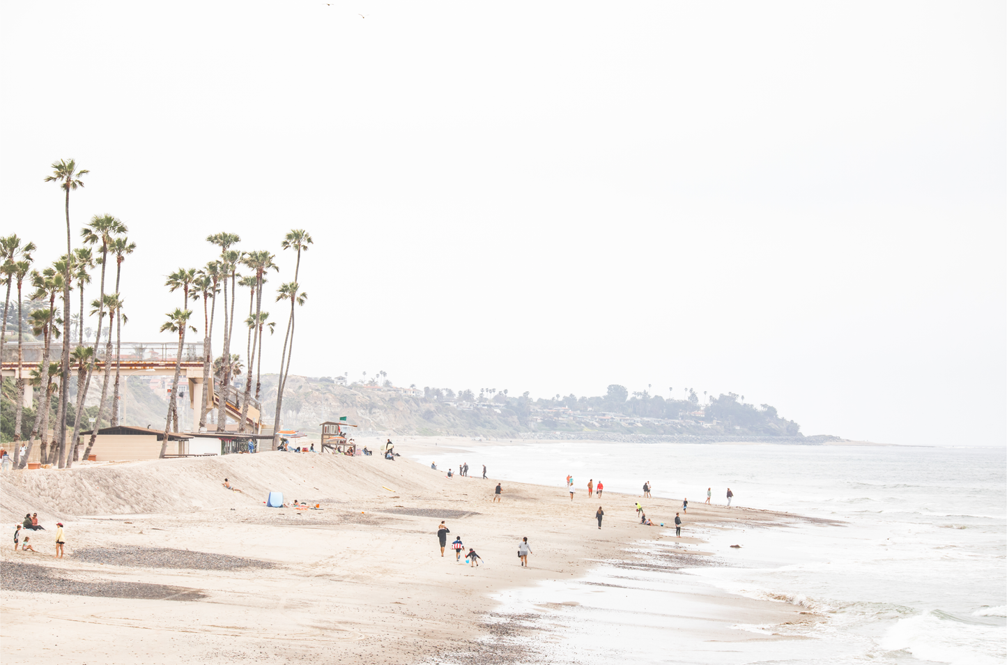 Landscape coastal photography of a wide sandy beach at San Clemente State Beach, with tall palm trees and people enjoying the calm ocean. Perfect for a beach theme wall decor.