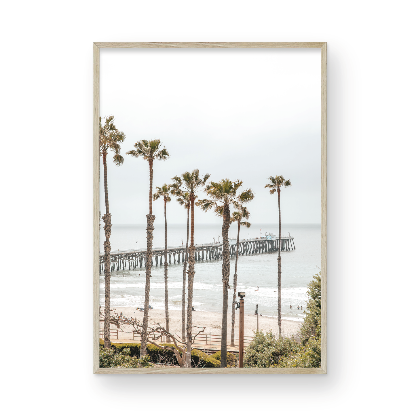 A vertical landscape coastal photography shot of the San Clemente Pier from behind a lush line of tall palm trees. This beachscape print highlights the California coast and is ideal for large beach art or a beach theme wall decor, with subtle ocean waves. Photograph in minimalist mock up.