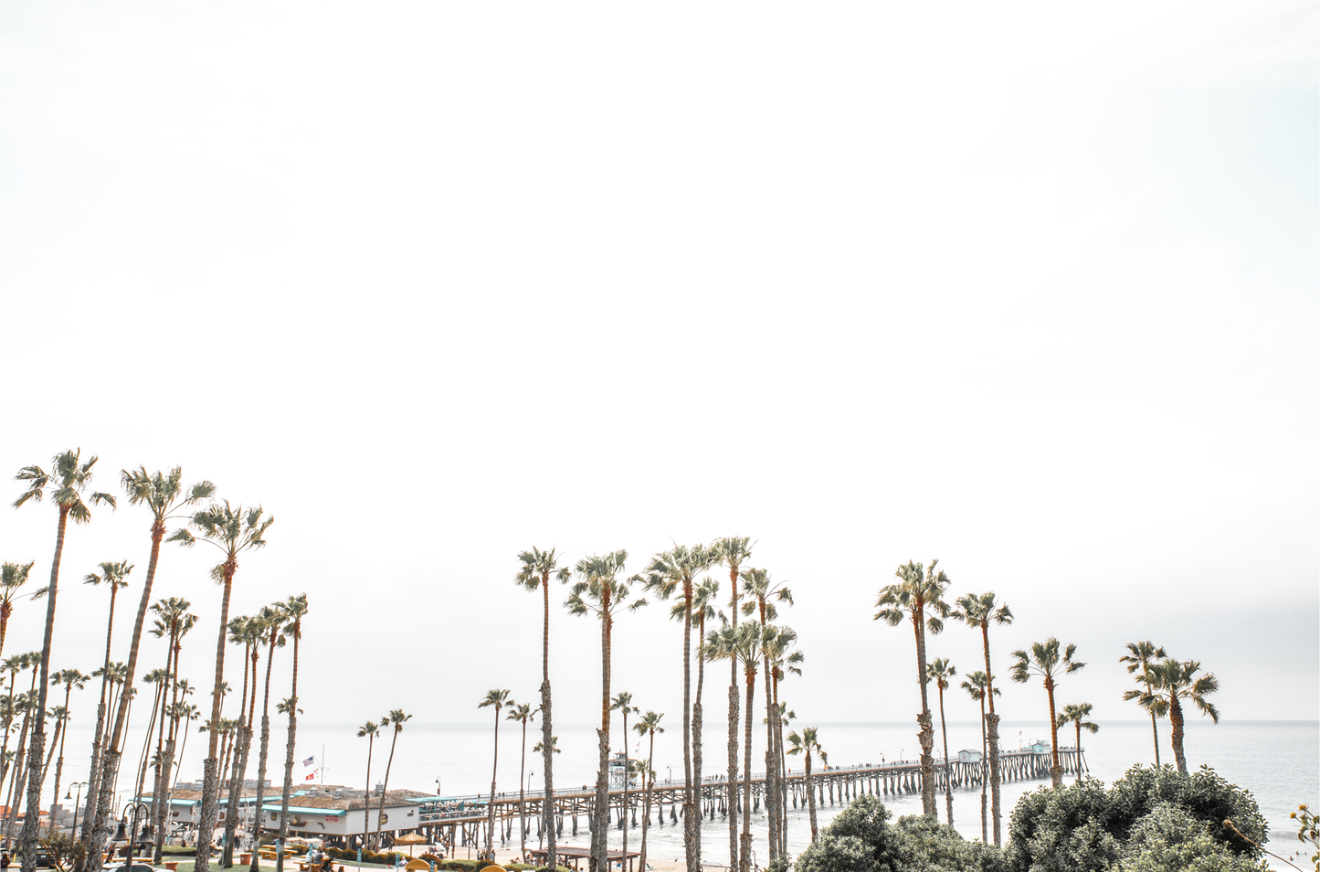 Horizontal landscape coastal photography of many palm trees in the foreground, with the San Clemente Pier extending into the ocean in the background. This large landscape beach art conveys strong beach vibes.