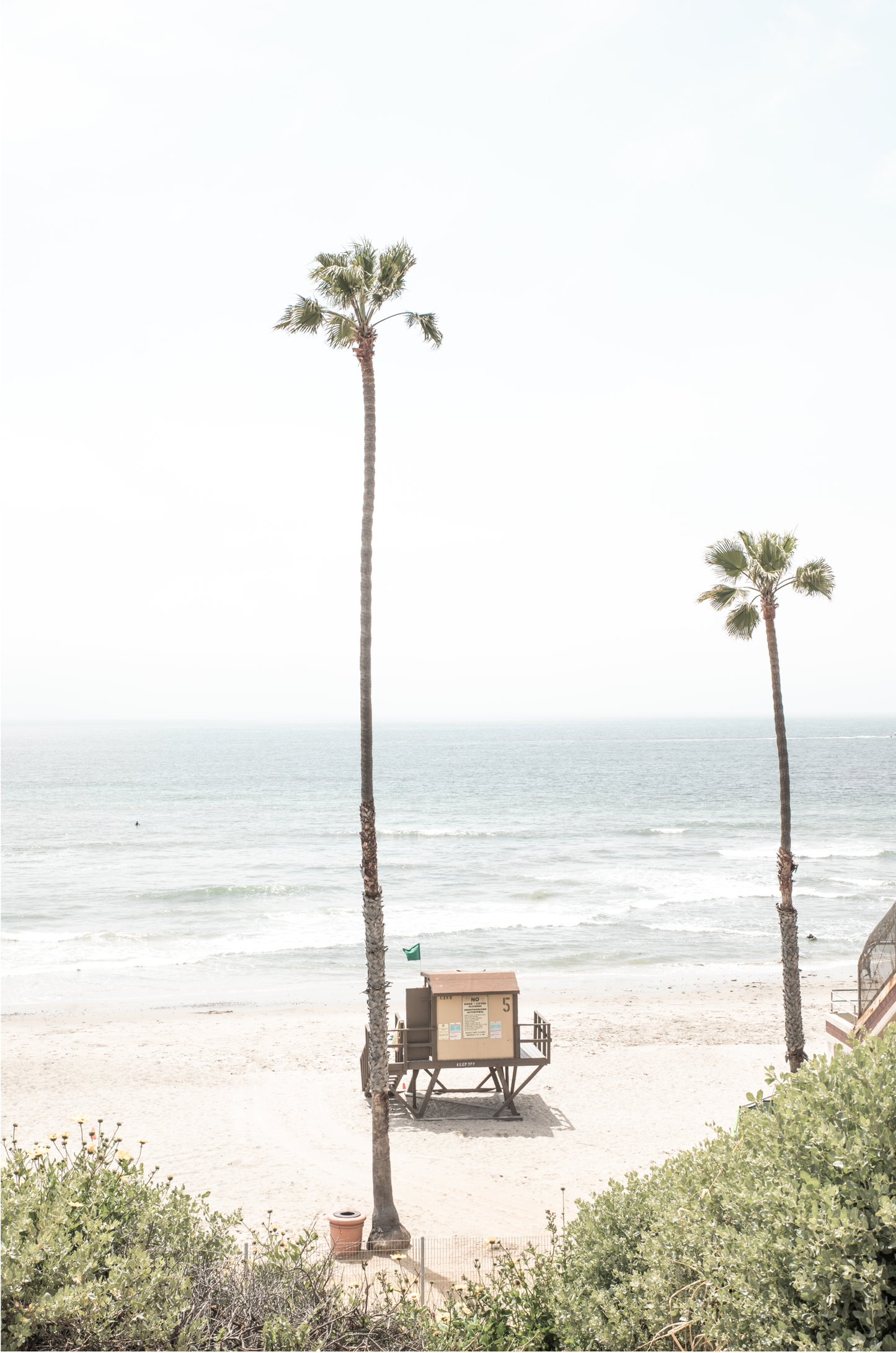 Vertical beach wall art featuring a lifeguard tower nestled between two tall palm trees on a sunny California beach, capturing a serene beach vibe.
