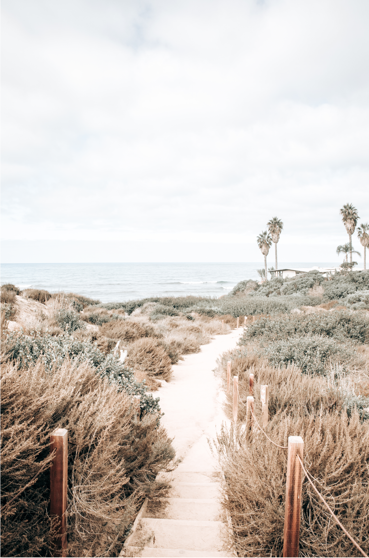Minimalist vertical beach print showcasing the San Diego Sunset Cliffs, a sandy pathway with rustic wooden steps leading through coastal dune grass towards a calm ocean. This pastel beach art, evocative of the Southern California coastline, features a bright hazy sky and distant palm trees. A tranquil piece of travel photography, ideal for coastal wall art.