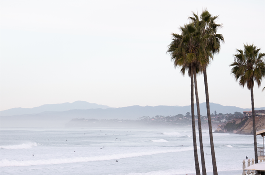 Landscape San Diego beach print showing a seascape with gentle ocean waves in the water and palm trees in the foreground. Photograph in minimalist mock up.